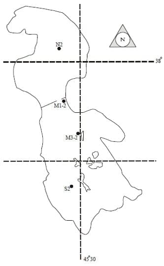 Artemia Morphology