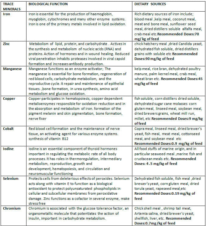 Minerals In Aquaculture Shrimp Engormix