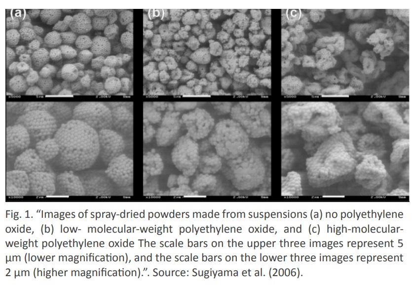 Microencapsulation to the Maxx A New Delivery System for Food and