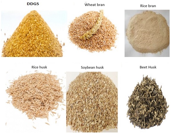 Carbohydrases are the Enzymes of the Future in Animal Feed - Engormix