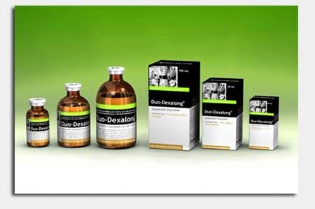Animal Nutrition 