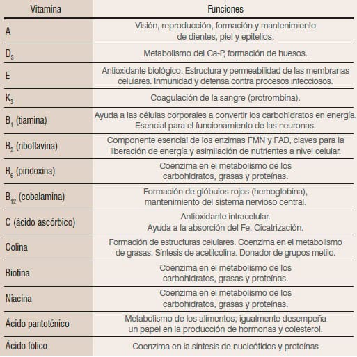FUNCION VITAMINAS funcion vitaminas: