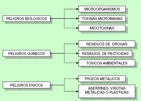 HACE ESQUEMA hace esquema: