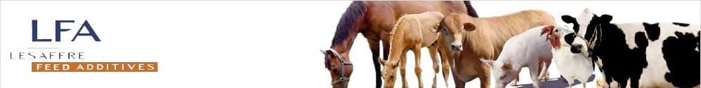 LESAFFRE FEED ADDITIVES