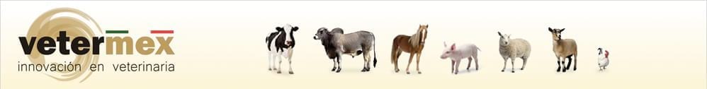 Vetermex Animal Health S.A. de C.V.