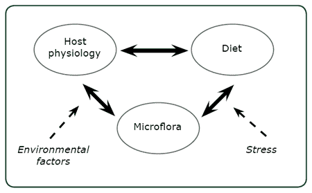 Gut Microflora