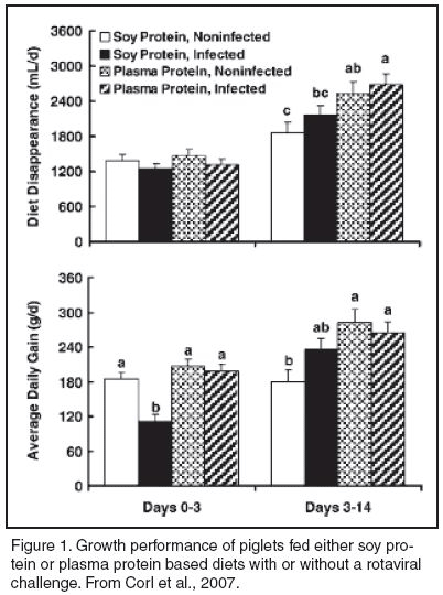 Swine Nutrition 