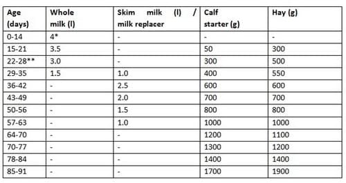 Calf Mortality - Engormix