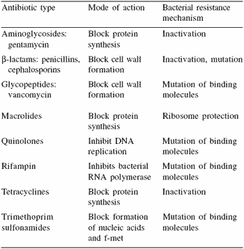 Antibiotic Resistance Mechanism