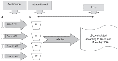 Infectious Salmon Anaemia (isa) 