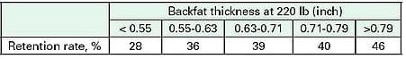 Swine Nutrition 