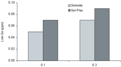 Organic Dietary Supplements on Dietary Nutrient Supplements Improve Meat Quality   Engormix Com