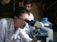 Mycotoxins Articles 
