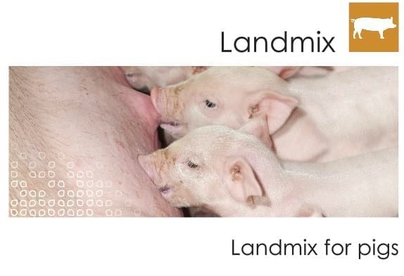 LANDMIX PIGLETS No. 1 - FOR PIGS