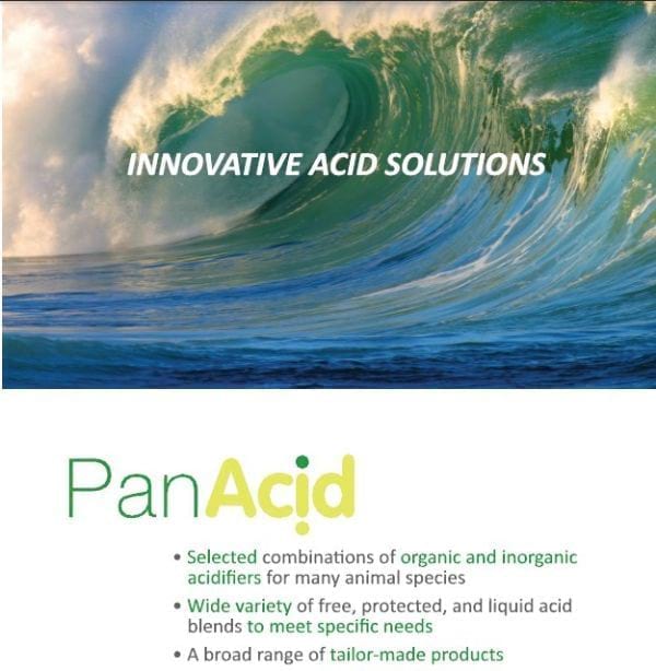 Panacid Wide range of acidifiers for all species