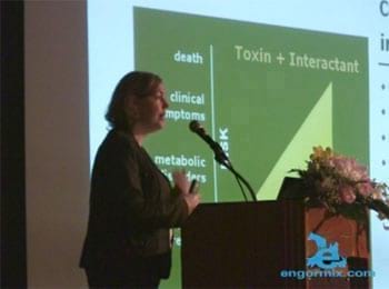 Controlling mycotoxins in feed