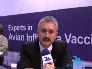 Bernardo Lozano Dubernard - Avimex