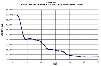 endometrio