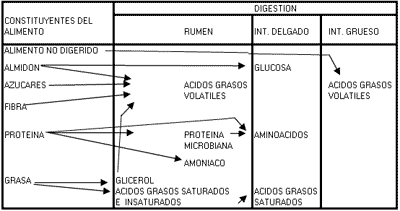 FACTORES QUE AFECTAN LA COMPOSICION DE LA LECHE factores que afectan la composicion de la leche: