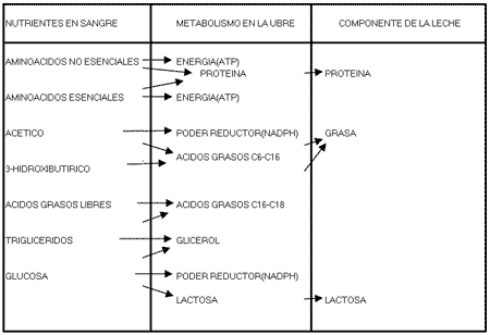 FACTORES QUE AFECTAN LA COMPOSICION DE LA LECHE factores que afectan la composicion de la leche: