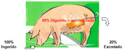 Nutrición animal
