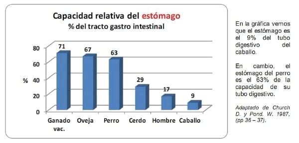 Suplementos para equinos - Engormix