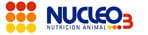 Nucleo 3