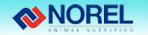 Norel
