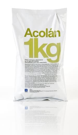Acolán