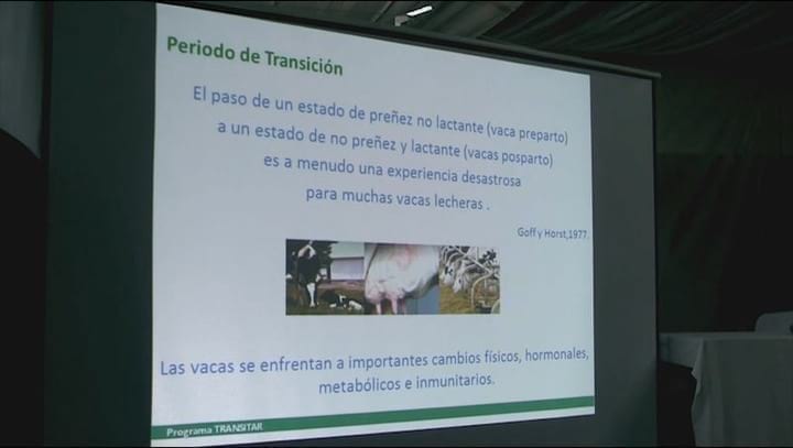 Juan Baeck: Nutrici�n preparto para alta producci�n
