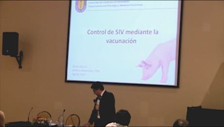 Influenza Porcina, Alvaro Ruiz (UDEC Chile)-