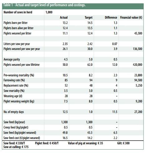 The cost of lost opportunities in sow production - Engormix