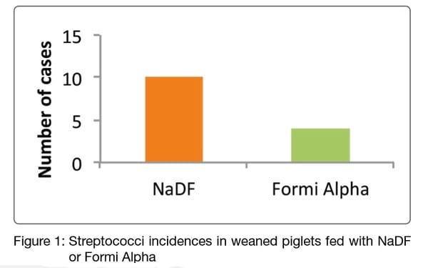 Streptococcus Bovis Septicaemia. Engormix