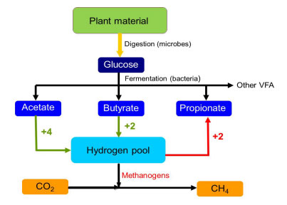 Nutritional Strategies to Mitigate Enteric Methane Emissions from Dairy ...