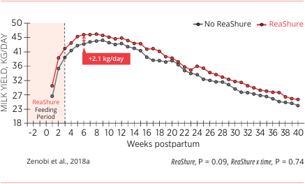 ReaShure-XC Boosts Milk Yield in Dairy Cows