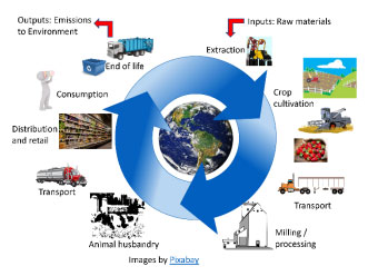 Feed Formulation for Sustainable Agriculture | Engormix