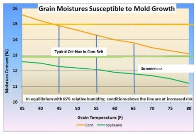 Pay Attention to Condition of Stored Corn | Engormix