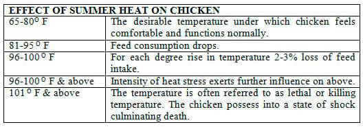 Poultry Farming and Adverse Season as a Stressor