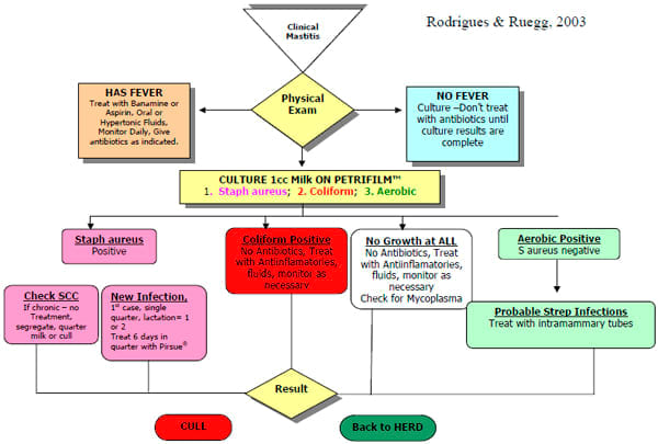 Treatment Of Clinical Mastitis Engormix