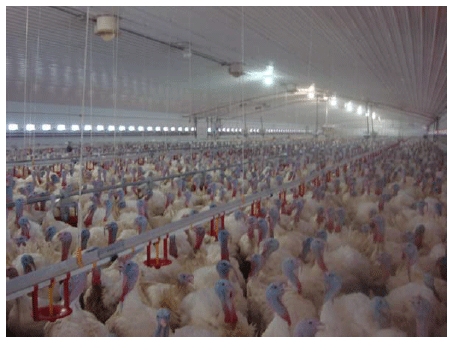 Increasing Sidewall Height Doesn T Significantly Increase Heating