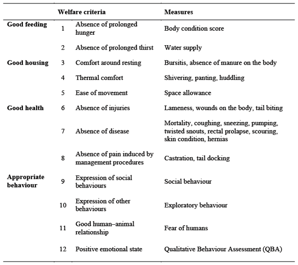 Assessing on farm pig welfare | Engormix