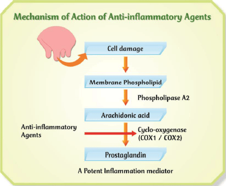 Principles Of Conventional Alternative Therapy In Mastitis A Comprehensive Review Engormix