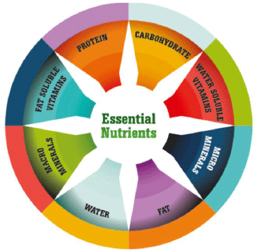 Tracing The Importance Of Trace Minerals Engormix