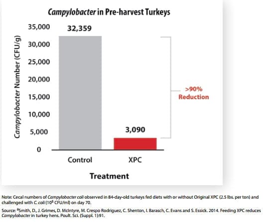 Pre Harvest Reduction Of Foodborne Pathogens In Food Animals Engormix