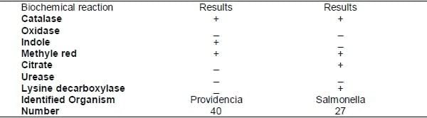 Characterization and Plasmid Profiling of Salmonella ...