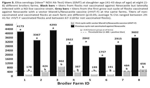 Thesis on newcastle disease virus