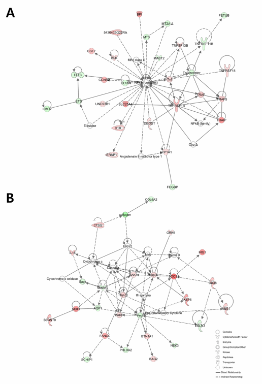 Transcriptional Profiles of Host-Pathogen Responses to ...