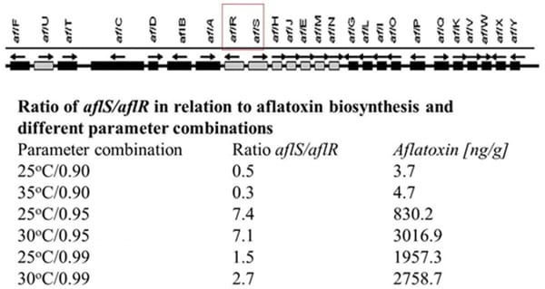 Effect Of Climate Change On Aspergillus Flavus And Aflatoxin B1 Production Engormix