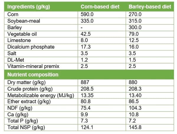 Prevention of Footpad Lesions in Broilers | Engormix