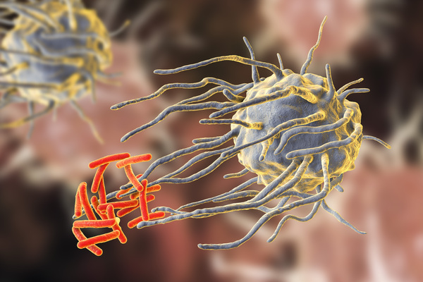 In Ovo Vaccination Benefits